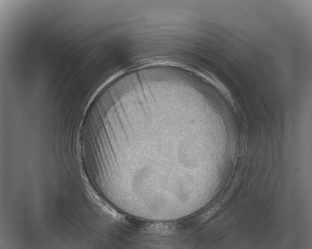 X0000082160806200702092216