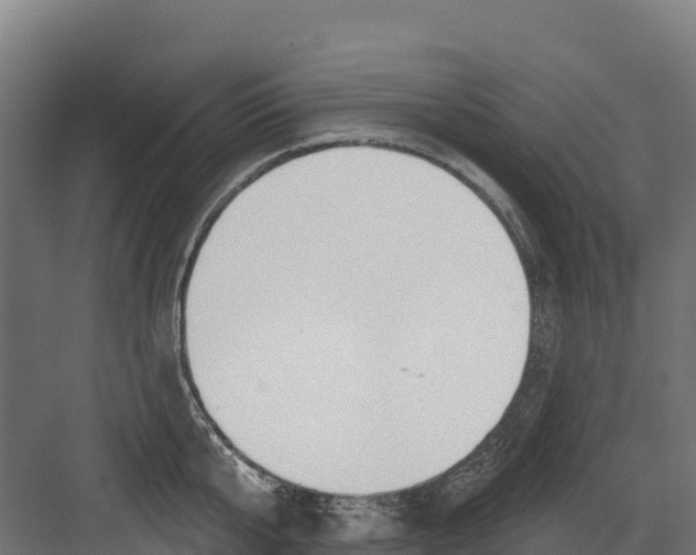 X0000082160807200702092216