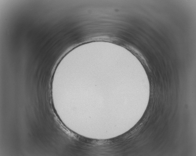 X0000082160808200702092216