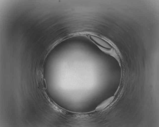 X0000082160809200702092216