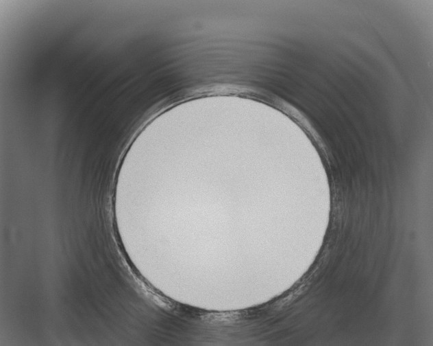 X0000082160810200702092216