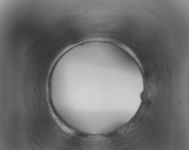 X0000082160811200702092216