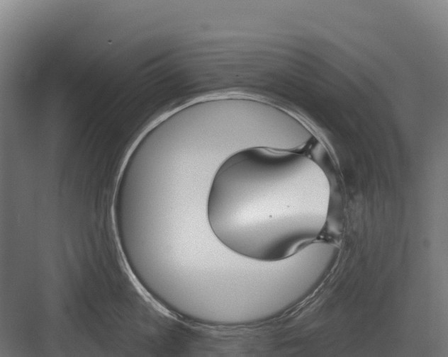 X0000082160813200702092216