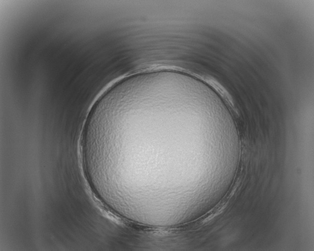 X0000082160814200702092216