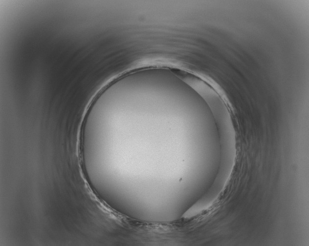 X0000082160815200702092216