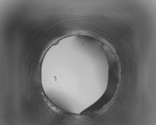 X0000082160816200702092216