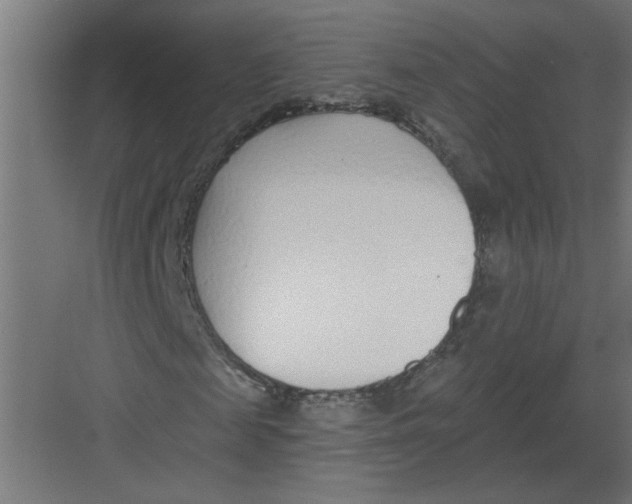 X0000082160817200702092215