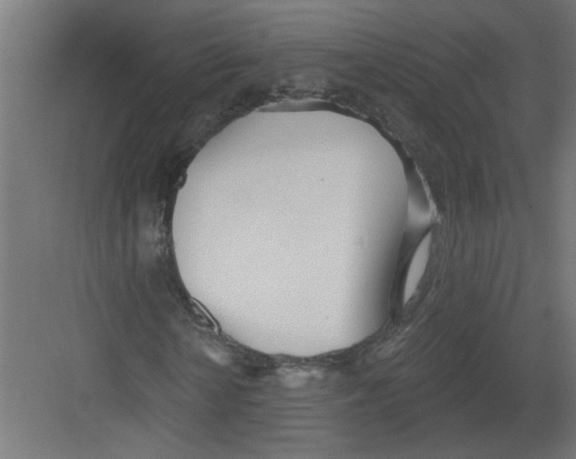 X0000082160818200702092215