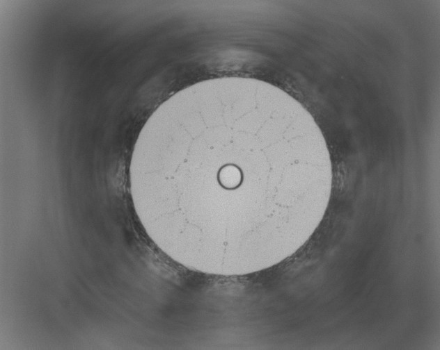 X0000082160820200702092215