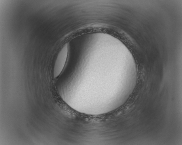 X0000082160821200702092215