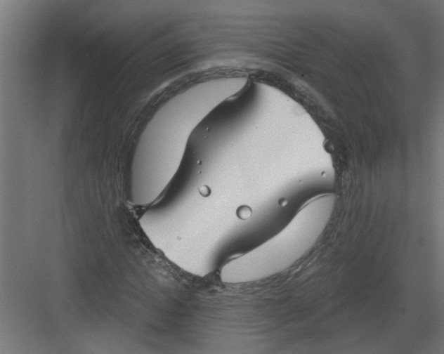 X0000082160822200702092215