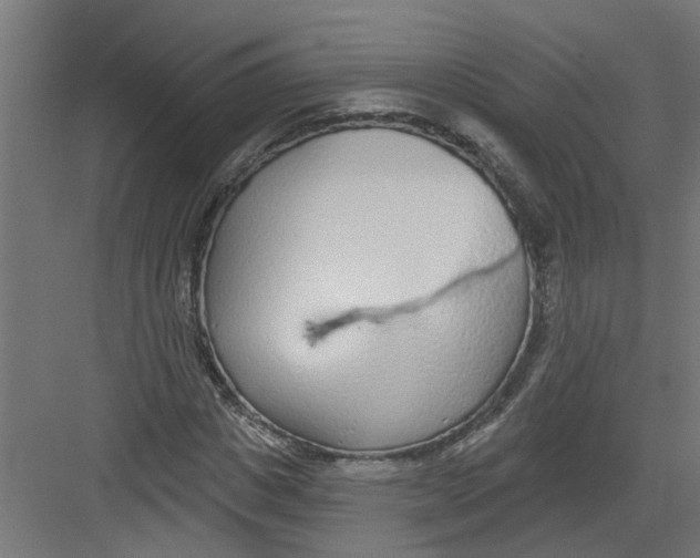 X0000082160825200702092215