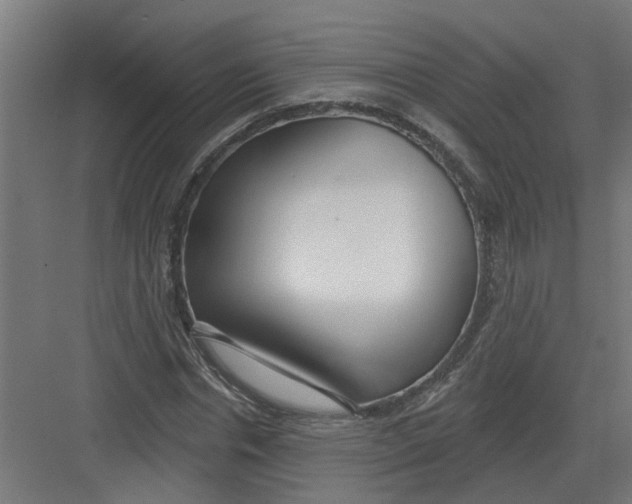 X0000082160826200702092215