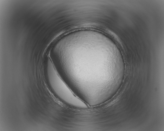 X0000082160827200702092215