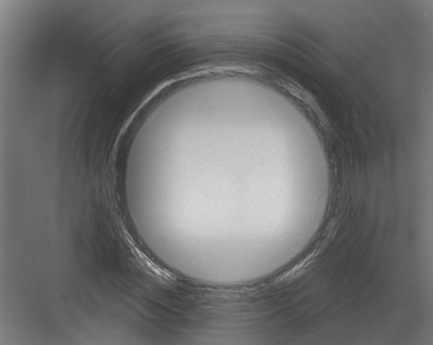 X0000082160828200702092215