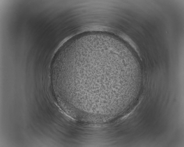 X0000082160829200702092215