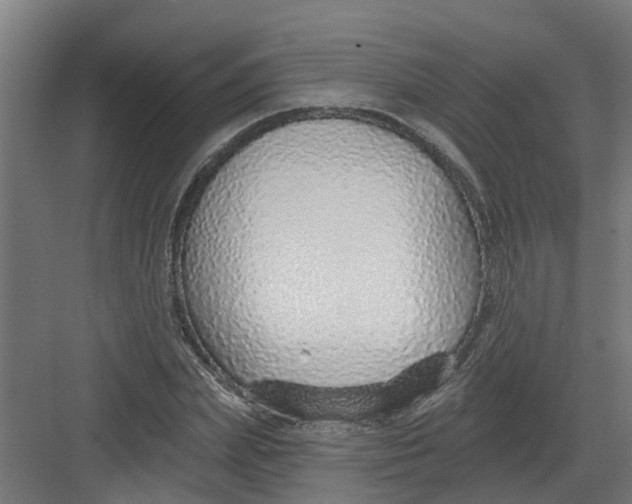 X0000082160831200702092215