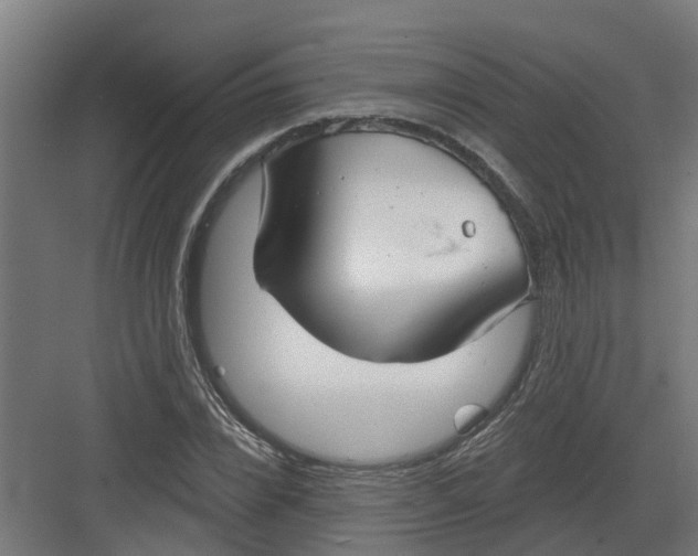 X0000082160832200702092215