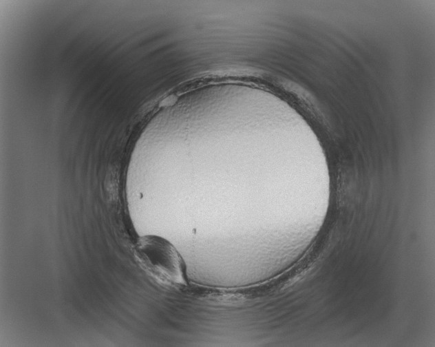 X0000082160833200702092215