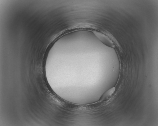 X0000082160834200702092215