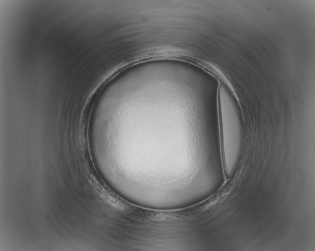 X0000082160835200702092215