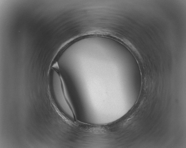 X0000082160838200702092215