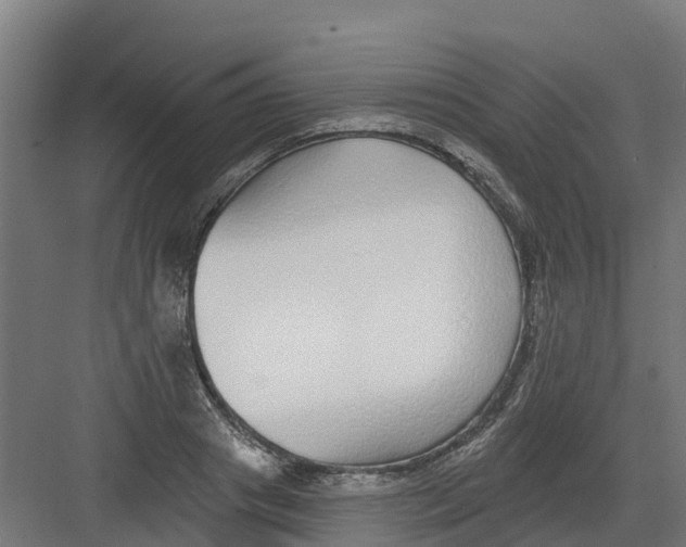 X0000082160841200702092215