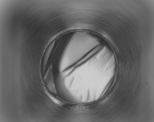 X0000082160842200702092215