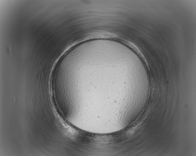 X0000082160843200702092215