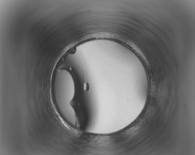 X0000082160845200702092216