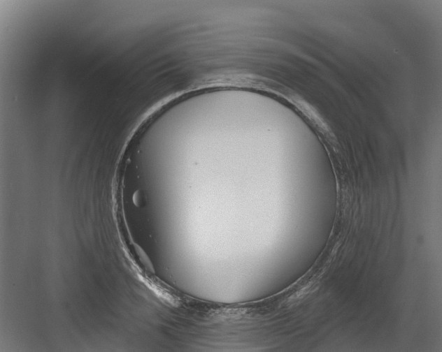 X0000082160846200702092216