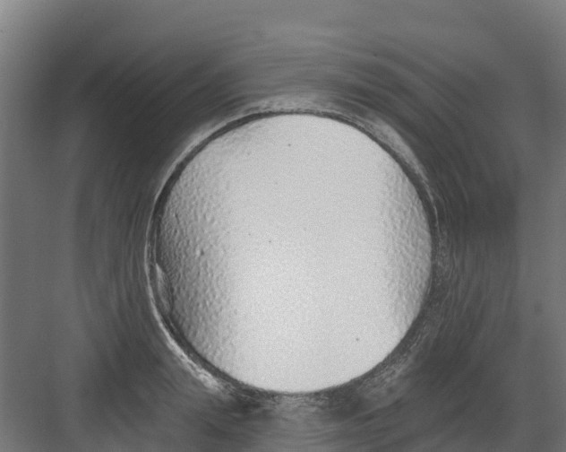 X0000082160847200702092216