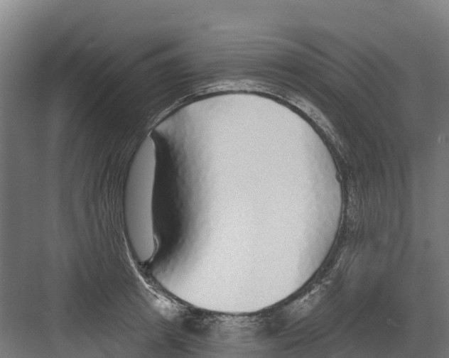 X0000082160849200702092216