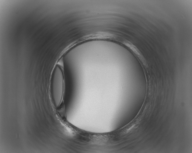 X0000082160850200702092216