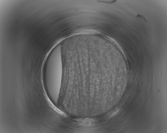 X0000082160851200702092216