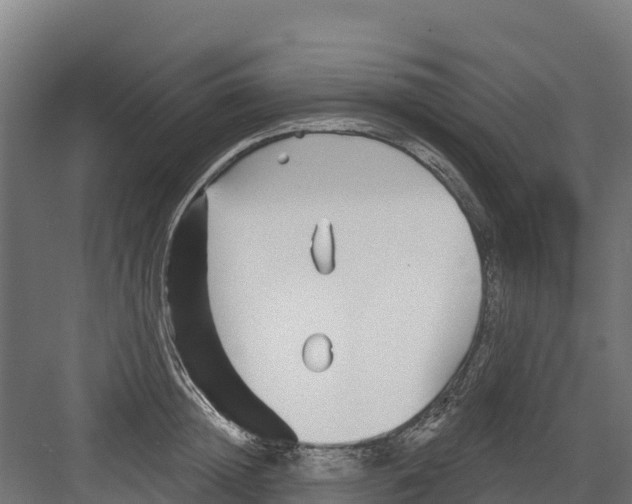 X0000082160852200702092216