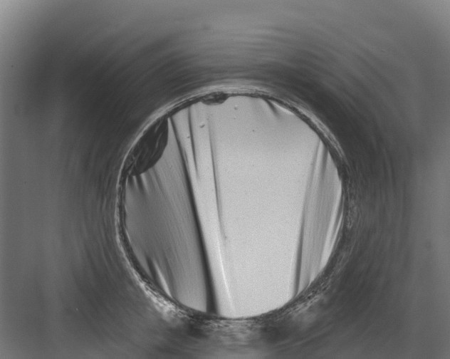 X0000082160853200702092216