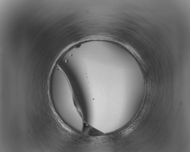 X0000082160854200702092216