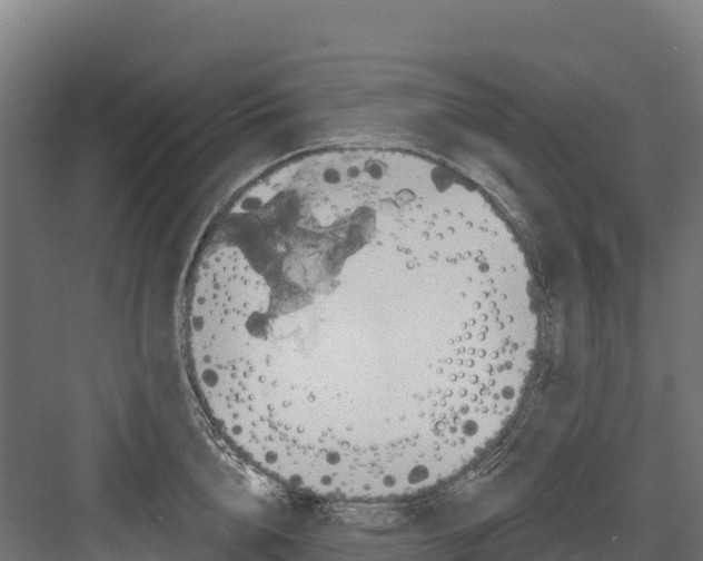 X0000082160856200702092216