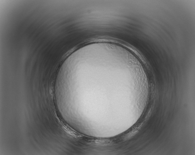 X0000082160857200702092216