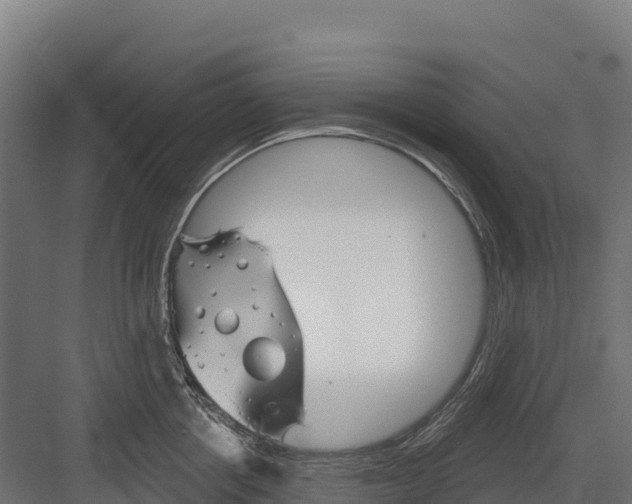 X0000082160858200702092216