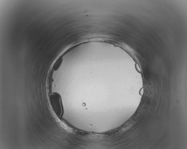 X0000082160859200702092216