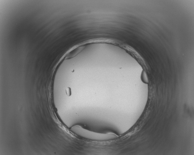 X0000082160860200702092216