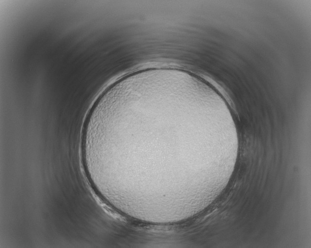 X0000082160861200702092216