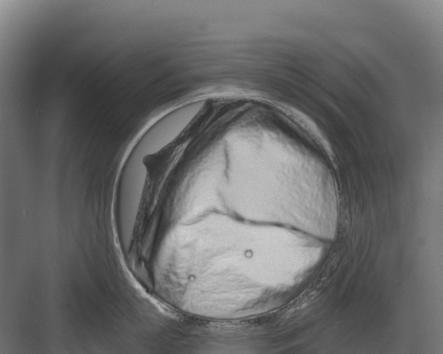 X0000082160863200702092216