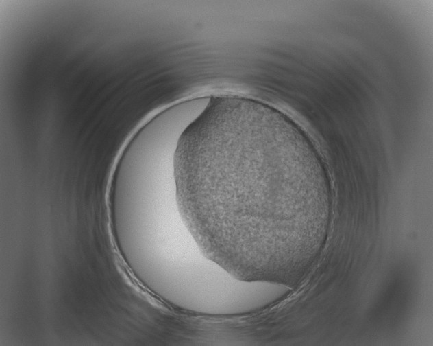 X0000082160864200702092216