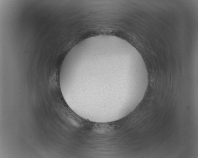 X0000082160866200702092215