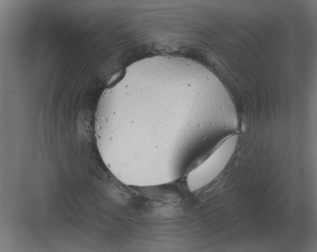 X0000082160867200702092215