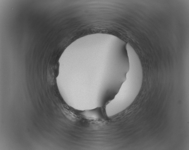 X0000082160868200702092215