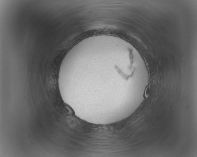 X0000082160869200702092215